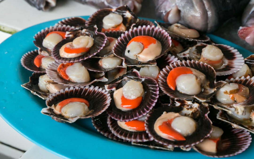 Caleta de Maitencillo: tradición, sabor e historias alrededor del mar