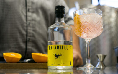 Gin Pajarillo, aromas y sabores de nuestra capital