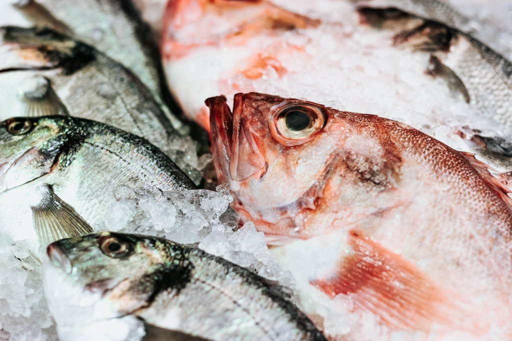 Motívate a incluir pescados y mariscos de Chile (que quizás no conocías) en  tu dieta