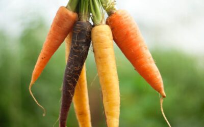 Anita Rivera, la Ciudadana B que concientiza tus decisiones alimentarias
