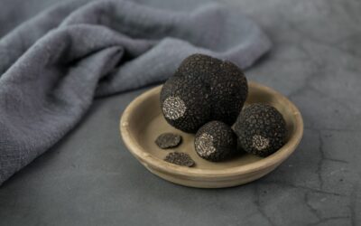 Verlini Gourmet, trufas del sur de Chile directo a tu mesa