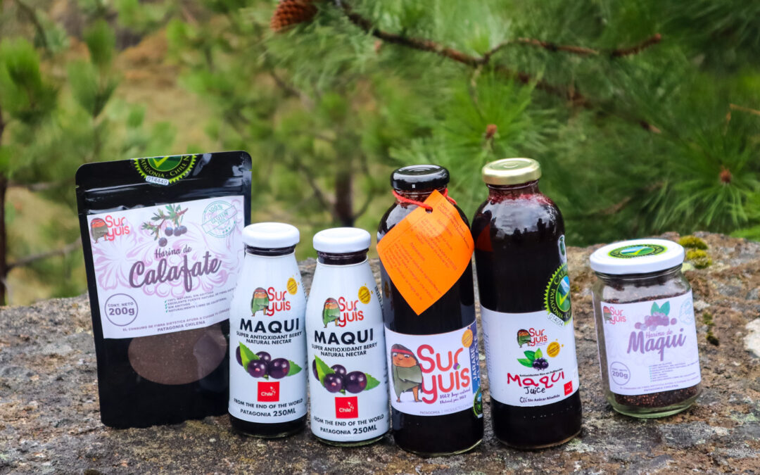SurYuis, exprimiendo sabores de la Patagonia para Chile y el mundo
