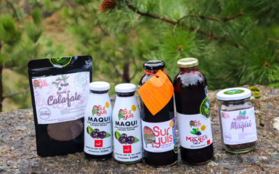 SurYuis, exprimiendo sabores de la Patagonia para Chile y el mundo