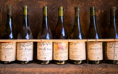 Viñedos Herrera Alvarado: vinos naturales y patrimoniales del Valle de Marga Marga