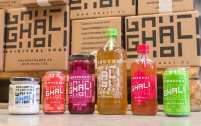 Ghali Kombucha: alimentos probióticos para una vida más saludable
