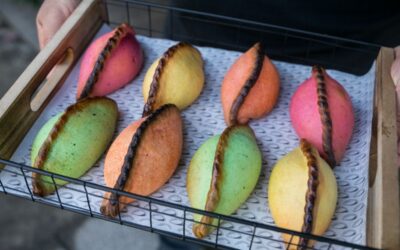 Jigote: salteñas bolivianas con un sello distintivo