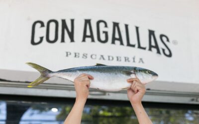 Con Agallas: pesca fresca, artesanal y del mar chileno