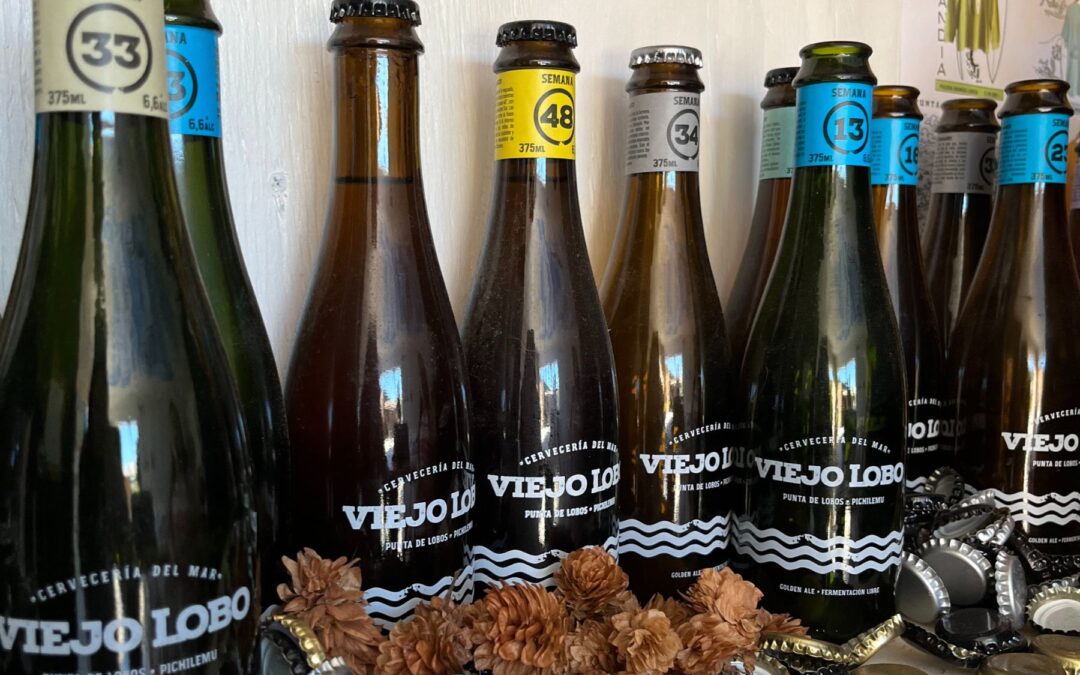 Viejo Lobo, Cervecería del Mar