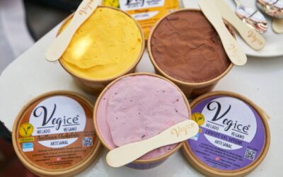 Vegice, fabricantes de helados veganos artesanales