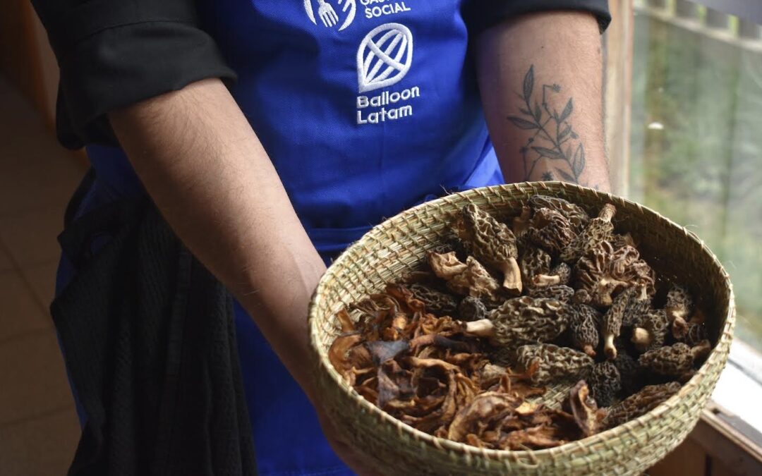 Aysén en la Mesa: un viaje gastronómico por la Patagonia