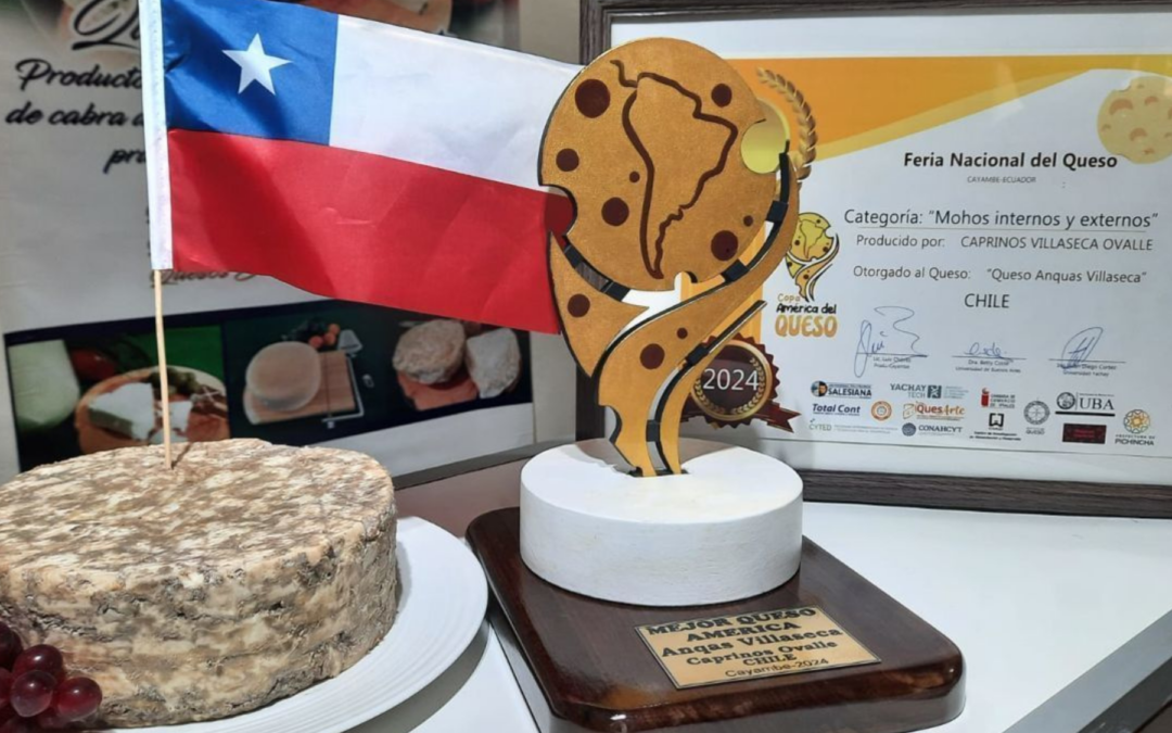 El mejor queso azul de América es chileno 