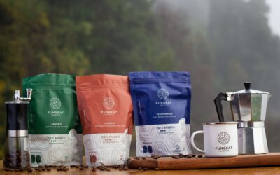 Fungeat: desde el sur de Chile, café con hongos saludables