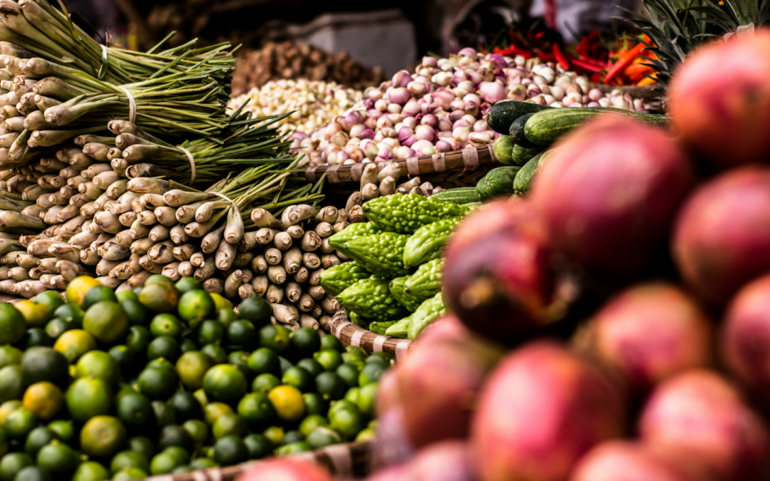 Lo Valledor acoge seminario sobre Seguridad Alimentaria en América Latina y el Caribe